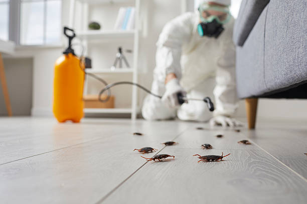 Commercial Kitchen Cockroach Control in Levittown